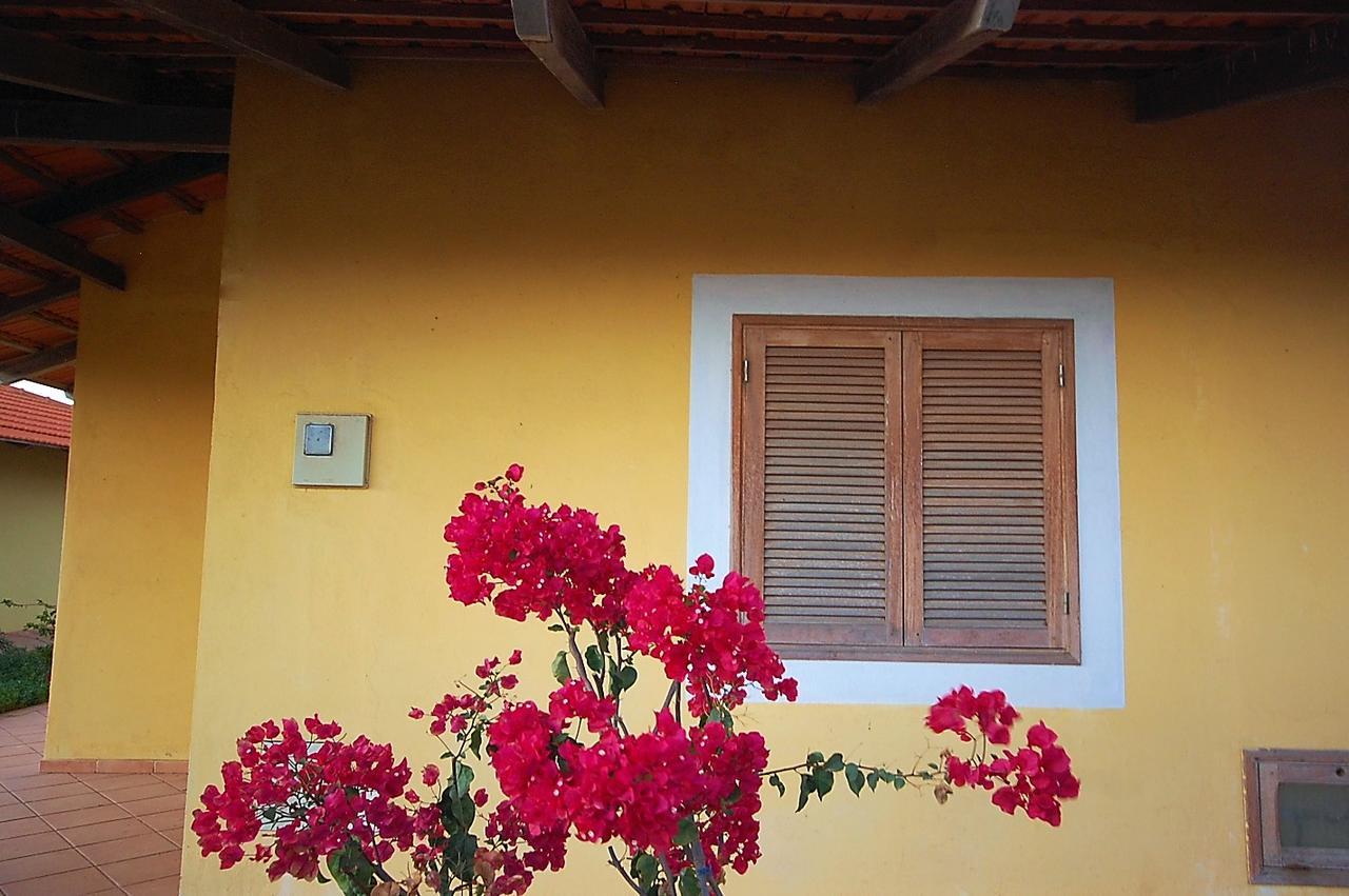 Villa Maris Ecolodge Morro Kültér fotó